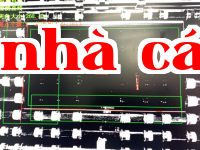 Ảnh 36